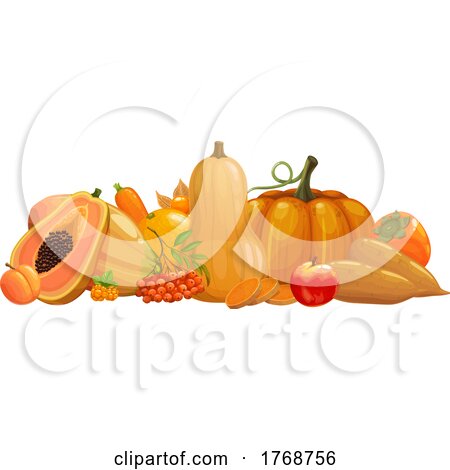 Orange Colored Foods by Vector Tradition SM