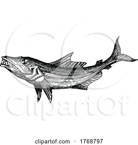 Fish by Vector Tradition SM