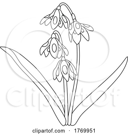 Cartoon Black and White Bluebell Flowers by Alex Bannykh