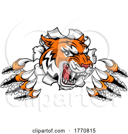 Tiger Shredding Through a Wall or Banner by AtStockIllustration