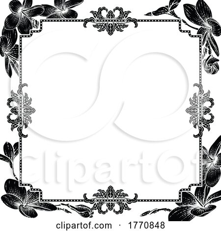 Plumeria Tropical Flower Wedding Invite Background by AtStockIllustration