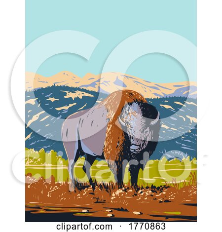 North American Bison Roaming in the Prairie of Yellowstone National Park Wyoming WPA Poster Art by patrimonio