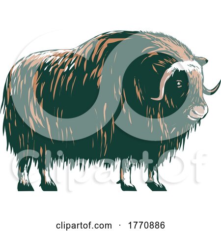 Muskox Musk Ox Musk Ox or Musk Oxen Native to the Arctic Side View WPA Poster Art by patrimonio