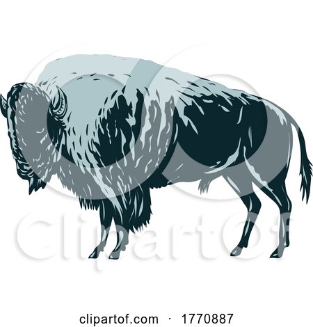 American Bison or American Buffalo Side View WPA Poster Art by patrimonio