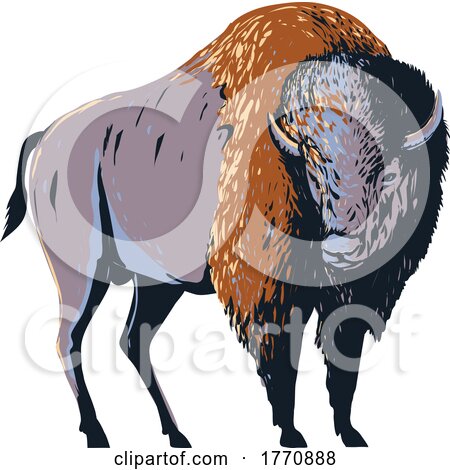 American Bison American Buffalo or Simply Buffalo That Once Roamed North America WPA Poster Art by patrimonio