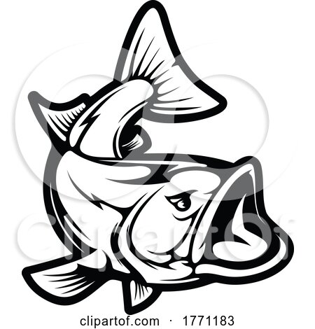 Carp Fish by Vector Tradition SM