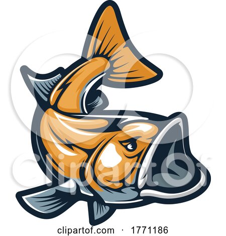 Carp Fish by Vector Tradition SM