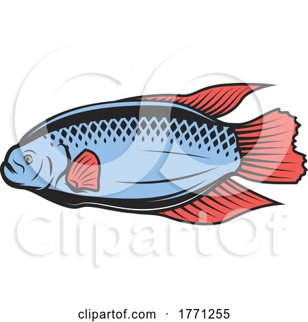 Fish by Vector Tradition SM
