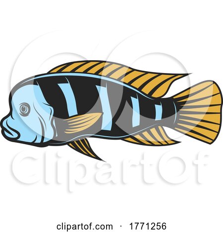 Cichlid by Vector Tradition SM