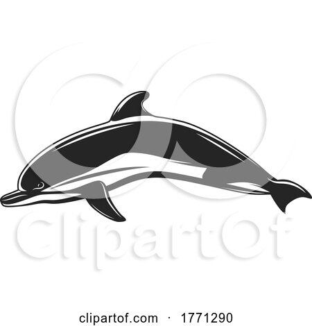 Dolphin by Vector Tradition SM