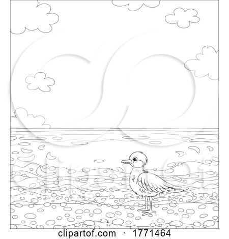 Cartoon Black and White Seagull on a Beach by Alex Bannykh