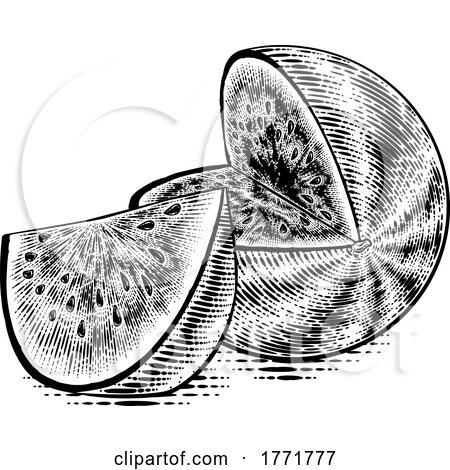 Watermelon Vintage Woodcut Engraved Style Drawing by AtStockIllustration