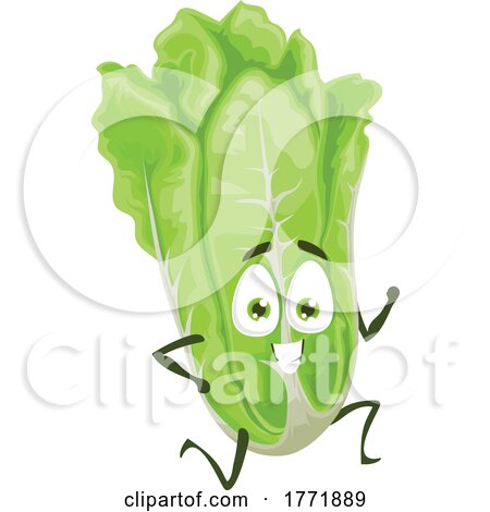 Chinese Cabbage or Lettuce Food Character by Vector Tradition SM