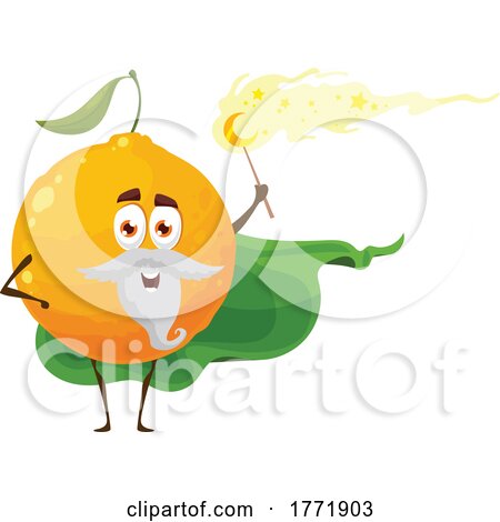 Orange Wizard Food Character by Vector Tradition SM