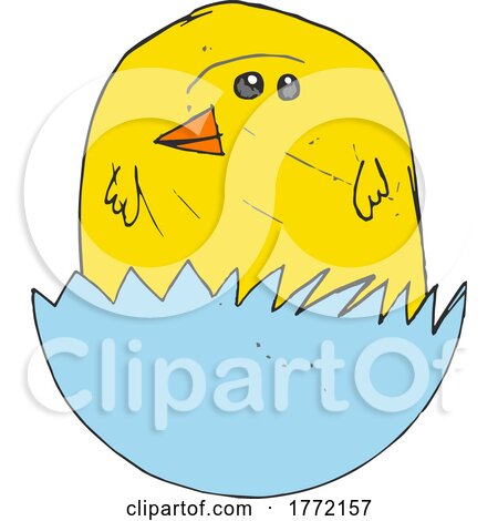 Easter Chick Bird Cartoon Character Kids Drawing by AtStockIllustration
