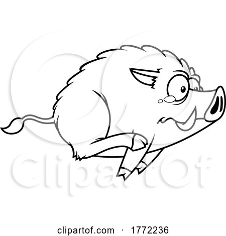 Cartoon Black and White Scared Wild Boar by Hit Toon