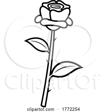 Cartoon Black and White Single Rose by Hit Toon