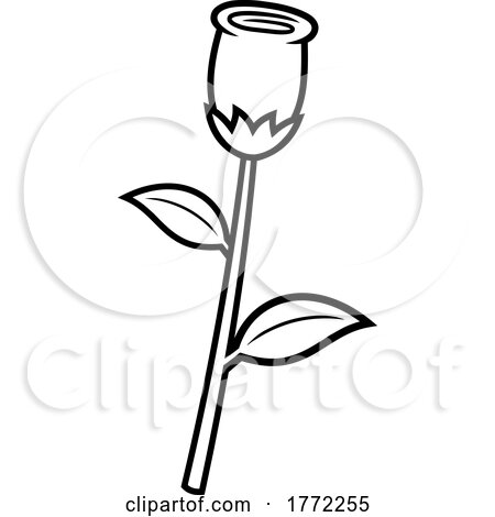Cartoon Black and White Single Tulip Flower by Hit Toon