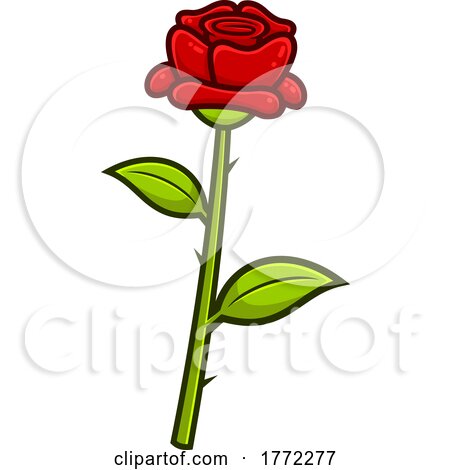 Cartoon Single Red Rose by Hit Toon