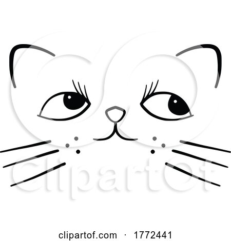Black and White Cat Face by Prawny