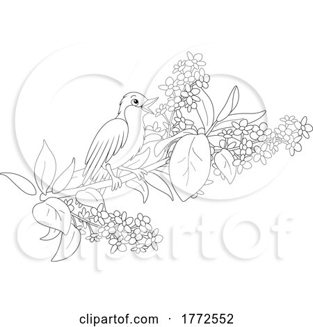 Cartoon Black and White Nightingale Bird Perched on a Floral Branch by Alex Bannykh
