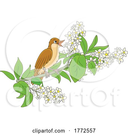 Cartoon Nightingale Bird Perched on a Floral Branch by Alex Bannykh