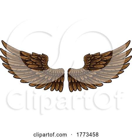 Pair of Spread Eagle or Angel Feather Wings by AtStockIllustration