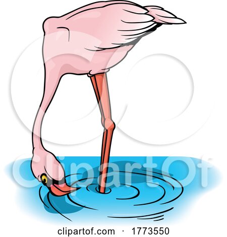 Wading Flamingo by dero