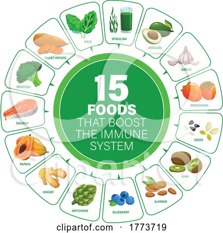 Chart of Foods That Boost the Immune System by Vector Tradition SM
