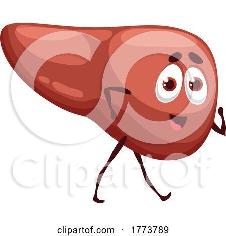 Liver Mascot by Vector Tradition SM