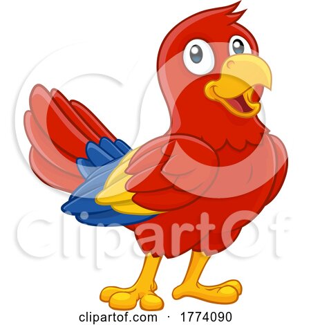 Parrot Red Macaw Bird Cartoon Wildlife Mascot by AtStockIllustration