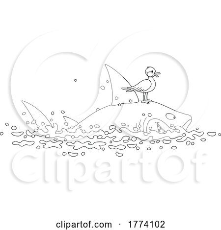 Cartoon Black and White Seagull Riding a Shark by Alex Bannykh