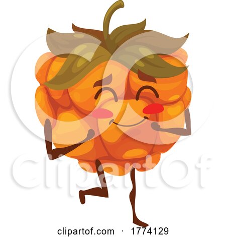 Cloudberry Food Character by Vector Tradition SM