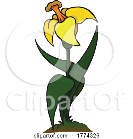 Cartoon Daffodil Flower by dero