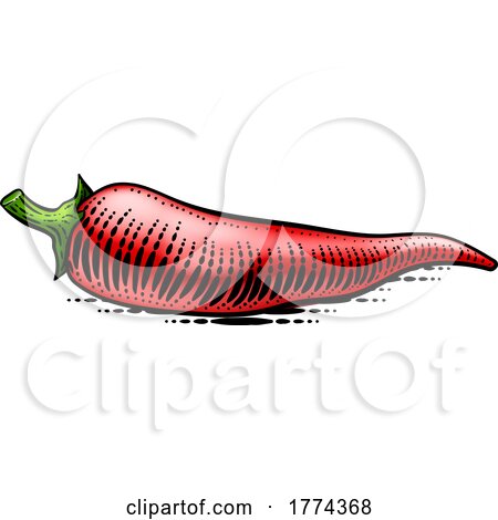 Pepper Vegetable Vintage Woodcut Illustration by AtStockIllustration