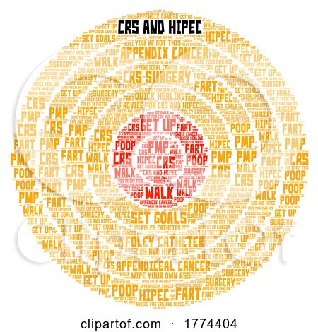 PMP Appendix Cancer CRS and HIPEC Surgery Word Goal Bullseye Target by Jamers