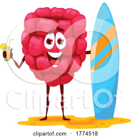 Surfer Raspberry Food Mascot by Vector Tradition SM