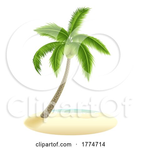 Palm Tree on Sandy Beach Design Element by AtStockIllustration