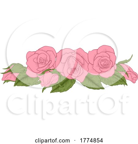 Roses Woodcut Vintage Style Flower Design by AtStockIllustration