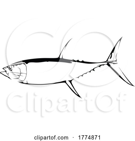Black and White Tuna Fish by dero