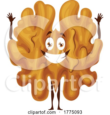 Happy Walnut Food Mascot Character by Vector Tradition SM