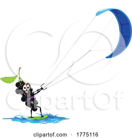 Wind Sailing Black Currant Food Mascot Character by Vector Tradition SM