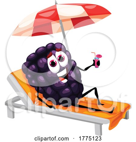 Summer Blackberry Food Mascot Character by Vector Tradition SM