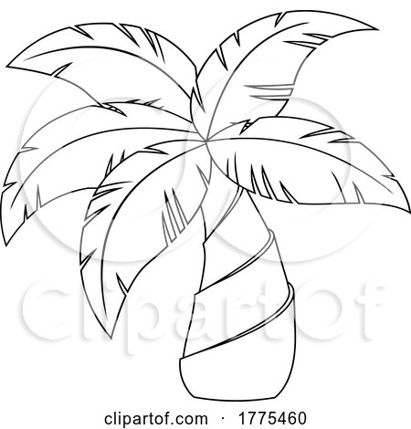 Cartoon Black and White Palm Tree by Hit Toon