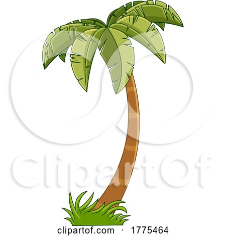Cartoon Palm Tree by Hit Toon