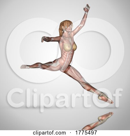 3D Female Figure in Ballet Pose with Muscle Map Textures by KJ Pargeter