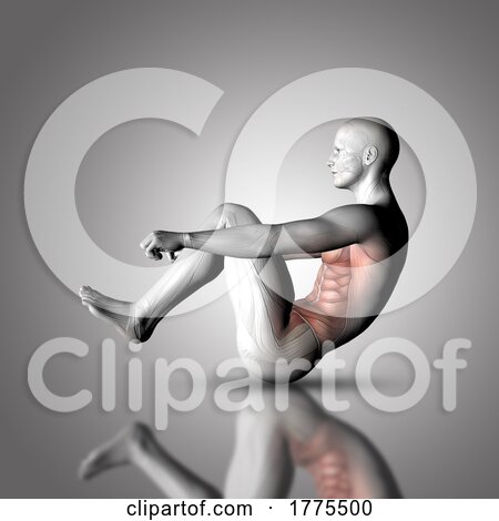 3D Male Medical Figure in Sit up Pose with Stomach Muscles Highlighted by KJ Pargeter