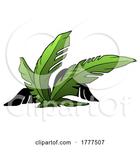 Cartoon Palm Plant by dero