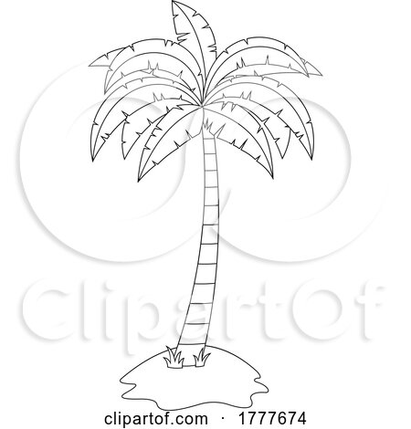 Black and White Palm Tree by Hit Toon