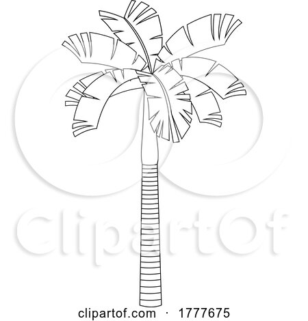 Black and White Palm Tree by Hit Toon